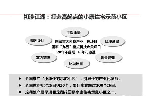 龍湖企業(yè)運營精細化管理的信息咨詢服務(wù)